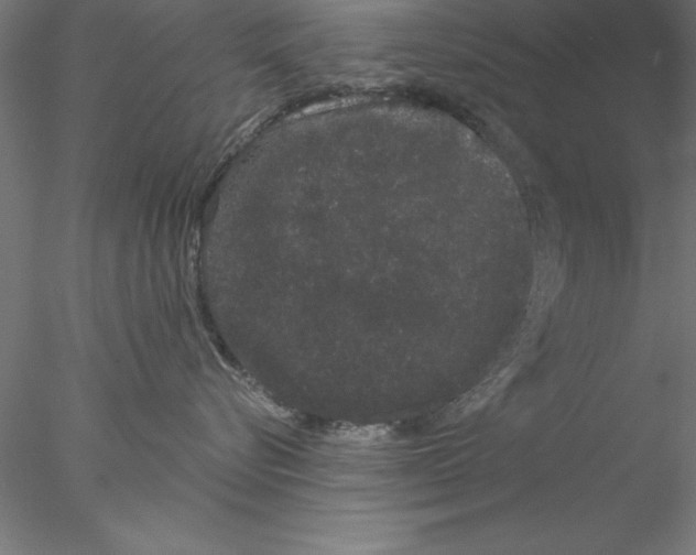 X0000076440576200611031908