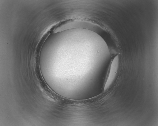 X0000076440580200611031907