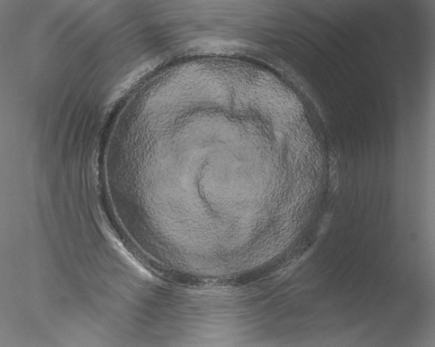X0000076440581200611031907