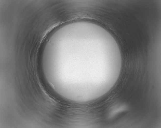 X0000076440587200611031907