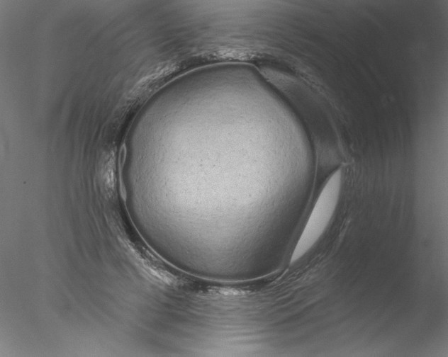 X0000076440593200611031907