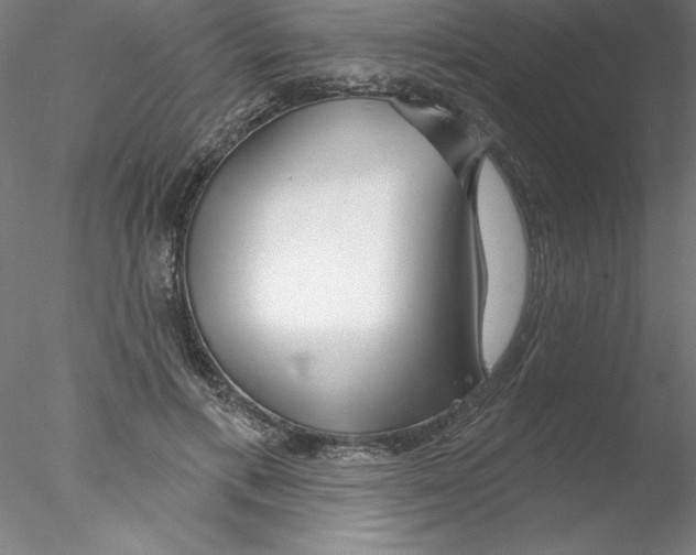 X0000076440597200611031907