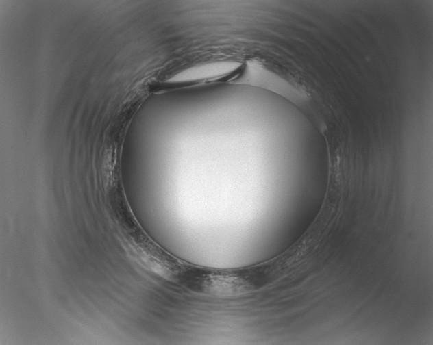 X0000076440605200611031907