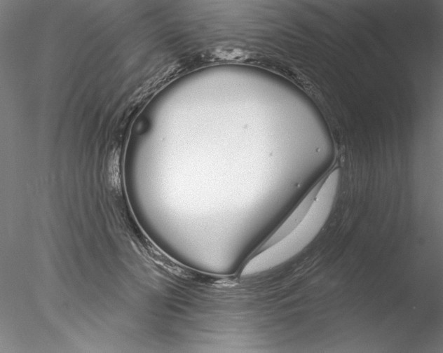 X0000076440606200611031907