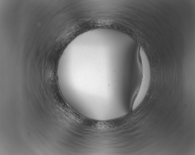 X0000076440608200611031907