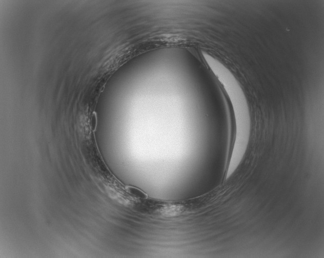 X0000076440609200611031907