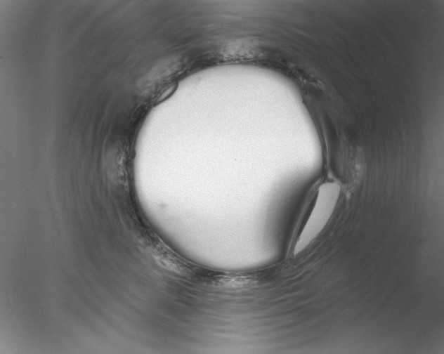 X0000076440619200611031907