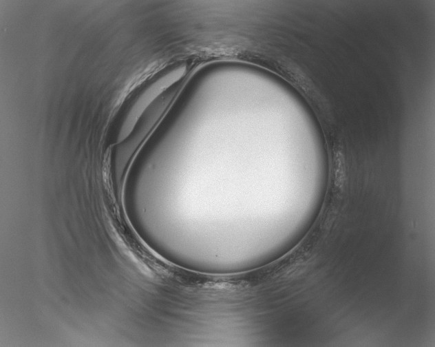 X0000076440634200611031906