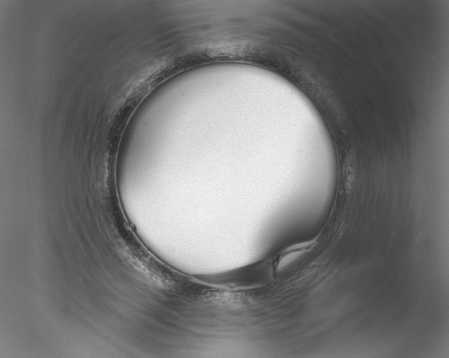 X0000076440637200611031906