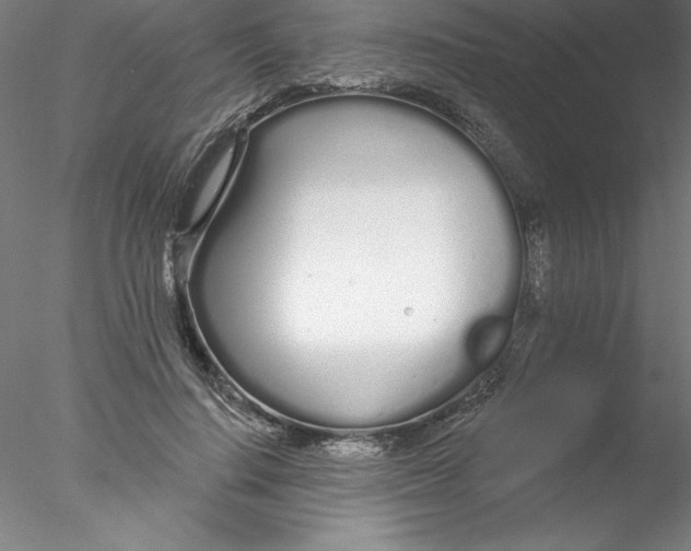 X0000076440644200611031906