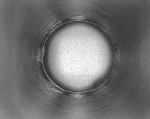 X0000076440652200611031906
