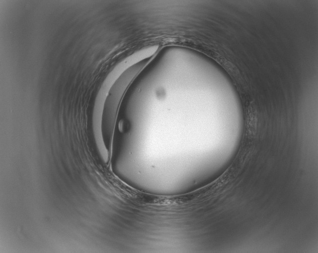 X0000076440656200611031906