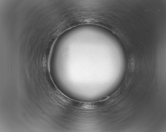 X0000076440657200611031906