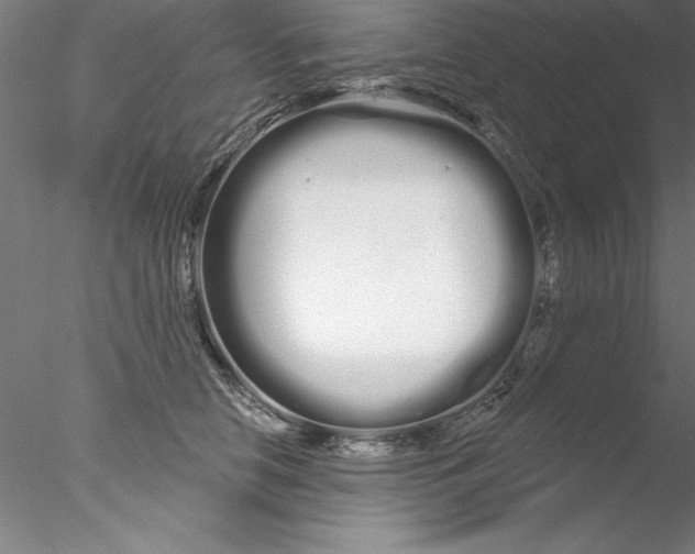 X0000076440658200611031906