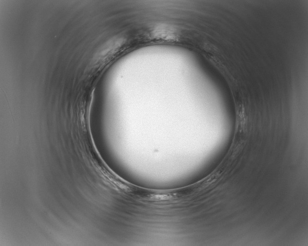 X0000076440662200611031906