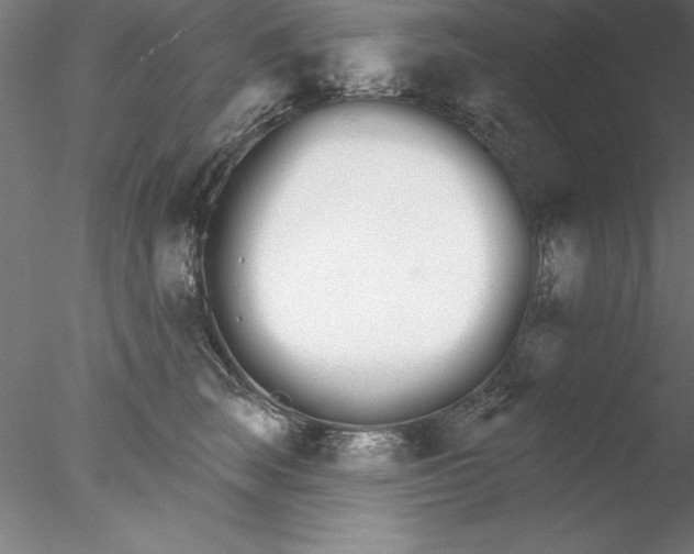 X0000076440663200611031906