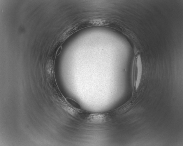 X0000076440665200611031907