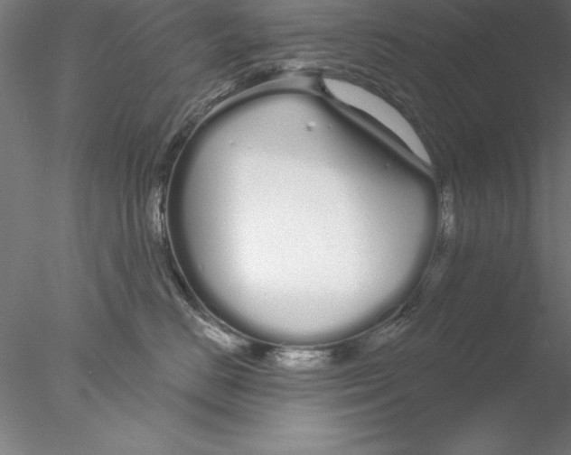 X0000076440670200611031907