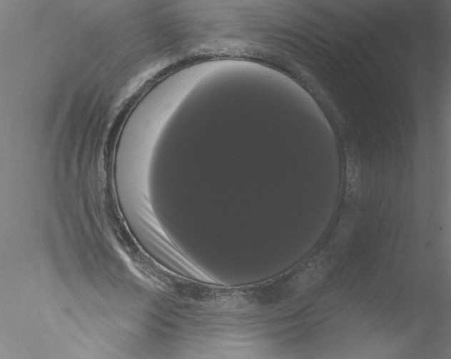 X0000076440674200611031906