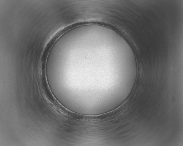 X0000076440676200611031906