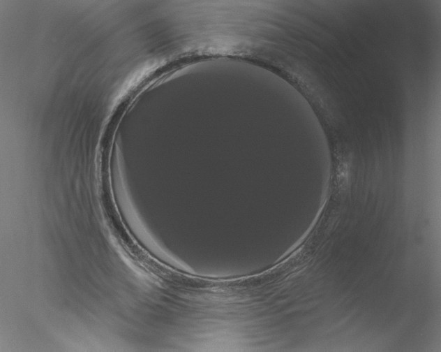 X0000076440678200611031906
