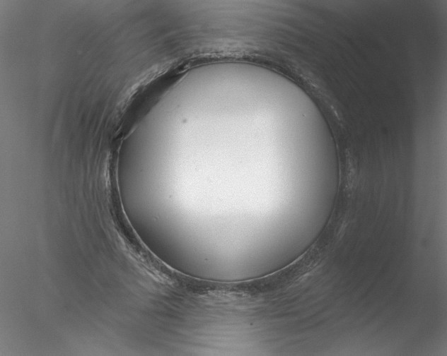 X0000076440681200611031906