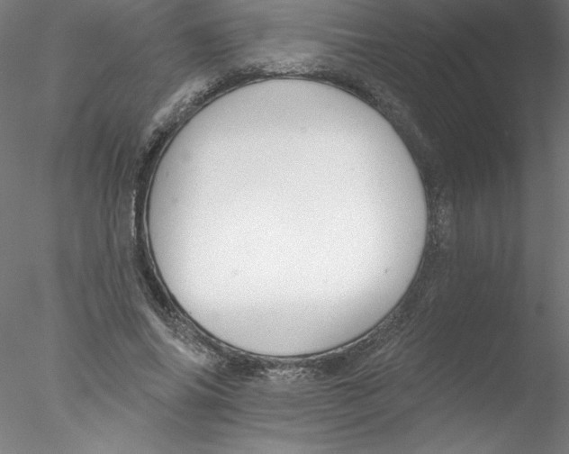 X0000076440686200611031906
