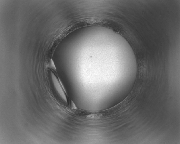 X0000076440700200611031905
