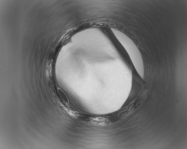 X0000076440708200611031905