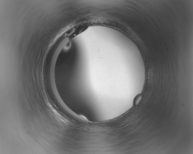 X0000076440722200611031904