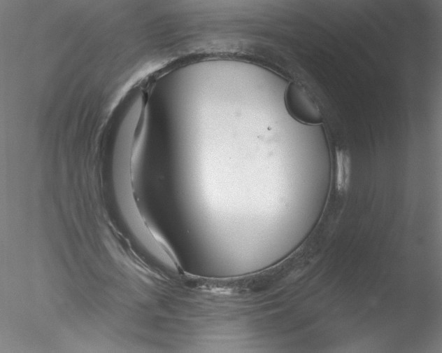 X0000076440723200611031904