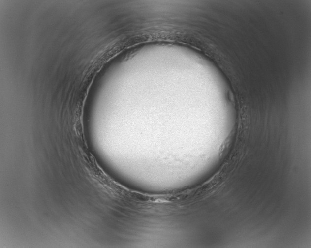 X0000076440737200611031905