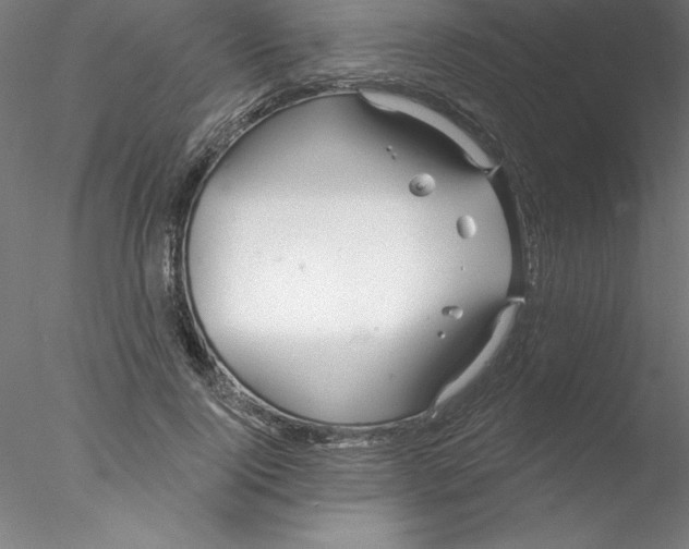X0000076440740200611031905