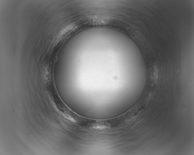 X0000076440743200611031905
