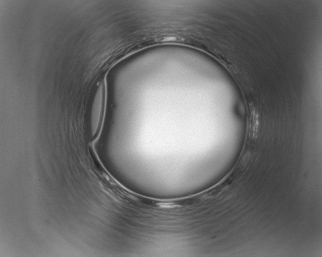 X0000076440746200611031905