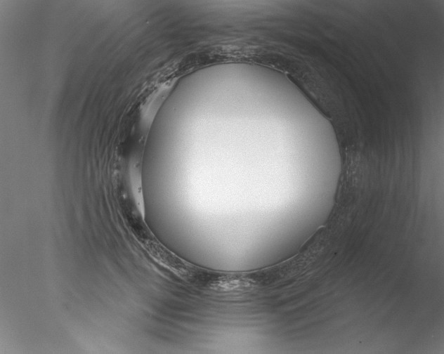 X0000076440752200611031905