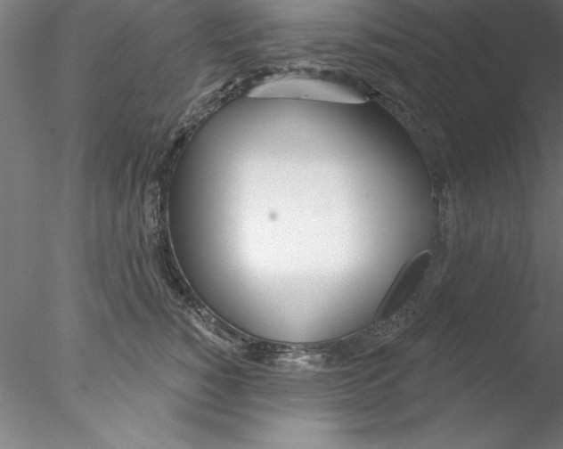 X0000076440760200611031905