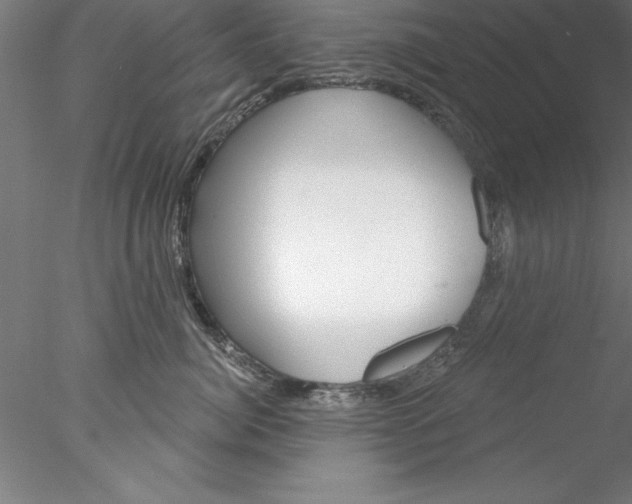 X0000076440764200611031905