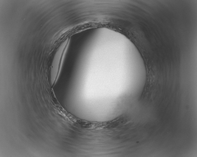X0000076440773200611031904