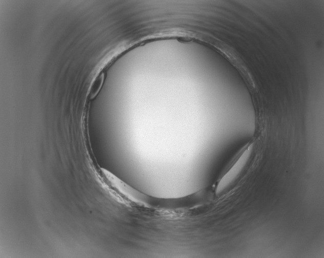 X0000076440805200611031904