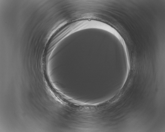 X0000076440806200611031904