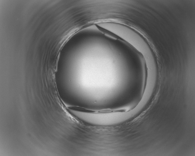 X0000076440809200611031904