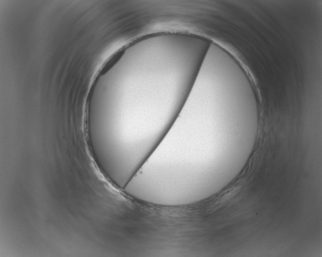 X0000076440815200611031903