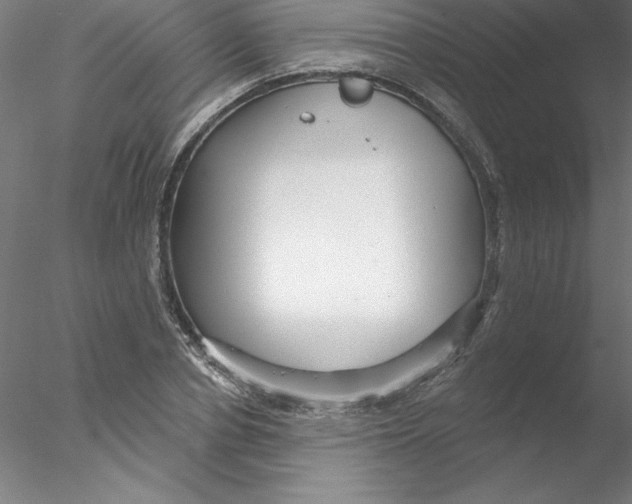 X0000076440834200611031903