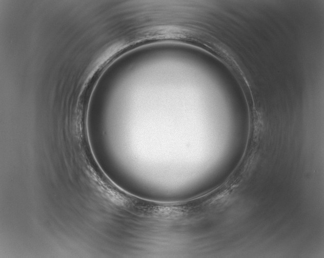 X0000076440835200611031903
