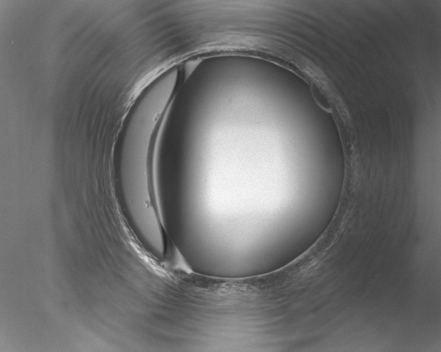 X0000076440842200611031903