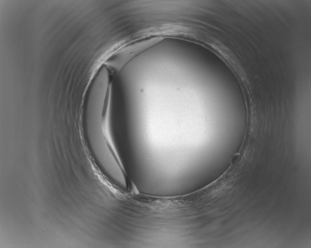X0000076440850200611031903