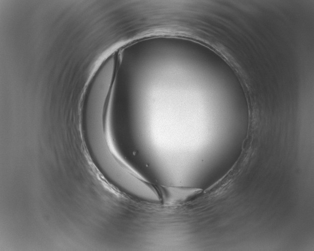 X0000076440854200611031903