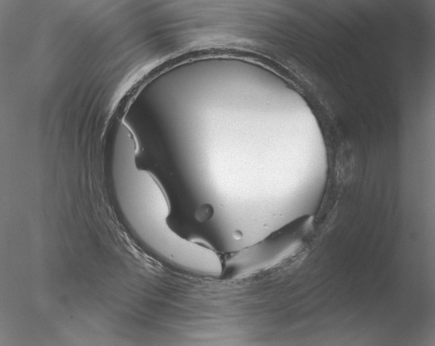 X0000076440877200611031902