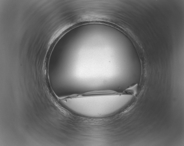 X0000076440885200611031902